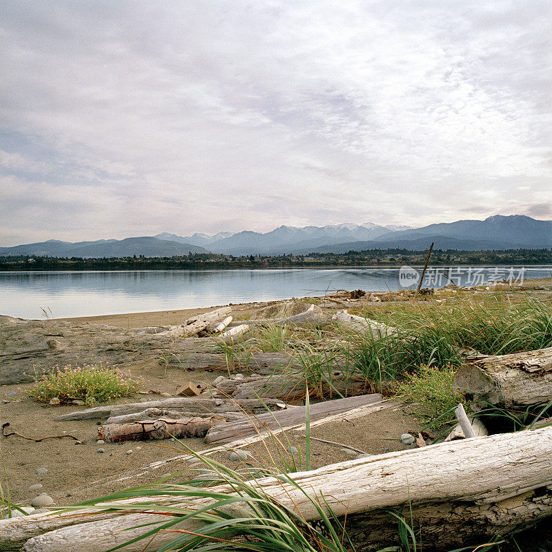 Dungeness Spit, Sequim，和Olympic Mountains